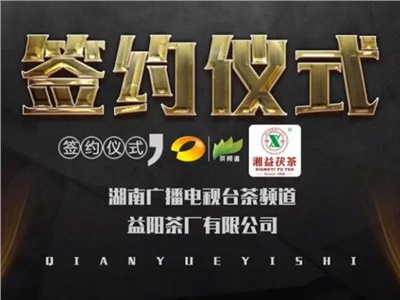 湘益茯，美茗揚(yáng) 丨湘益茯茶與茶頻道達(dá)成長(zhǎng)期戰(zhàn)略合作