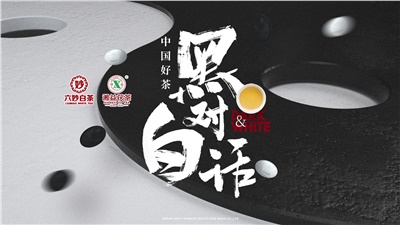 首屆黑白對話高峰論壇圓滿落幕！湘益茯茶備受關(guān)注！