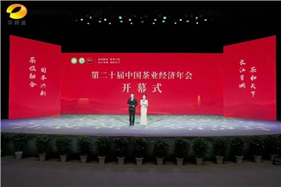 【聚焦第二十屆中國茶業(yè)經(jīng)濟(jì)年會(huì)】益陽茶廠榮獲“民族團(tuán)結(jié)互助企業(yè)”、“2024年度茶業(yè)重點(diǎn)企業(yè)”榮譽(yù)稱號(hào)
