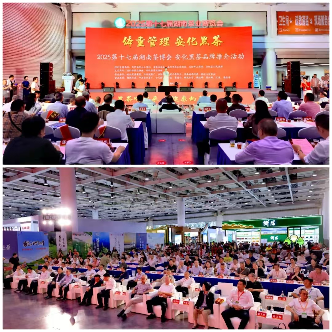 破局邊銷二十載，開啟茯茶新紀元——湘益茯茶“紀廿”新品璀璨發(fā)布